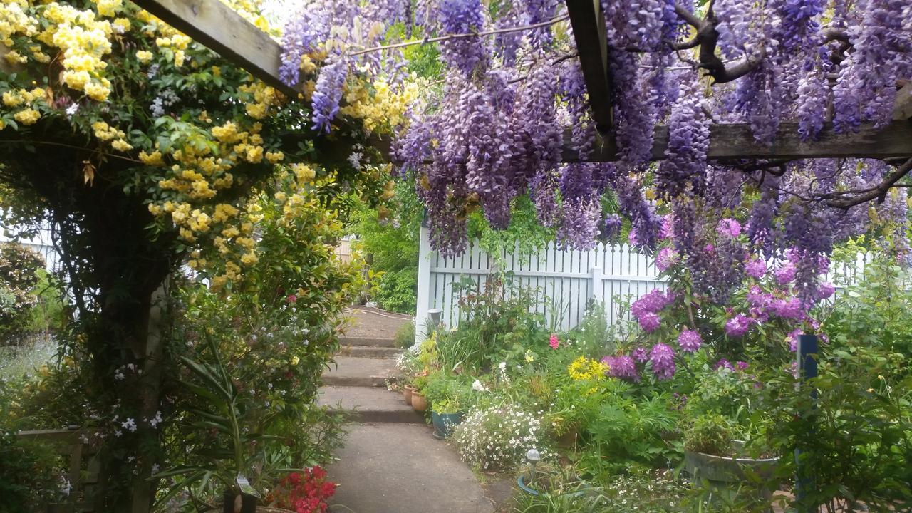Birch Lane Bed & Breakfast Cradoc ภายนอก รูปภาพ