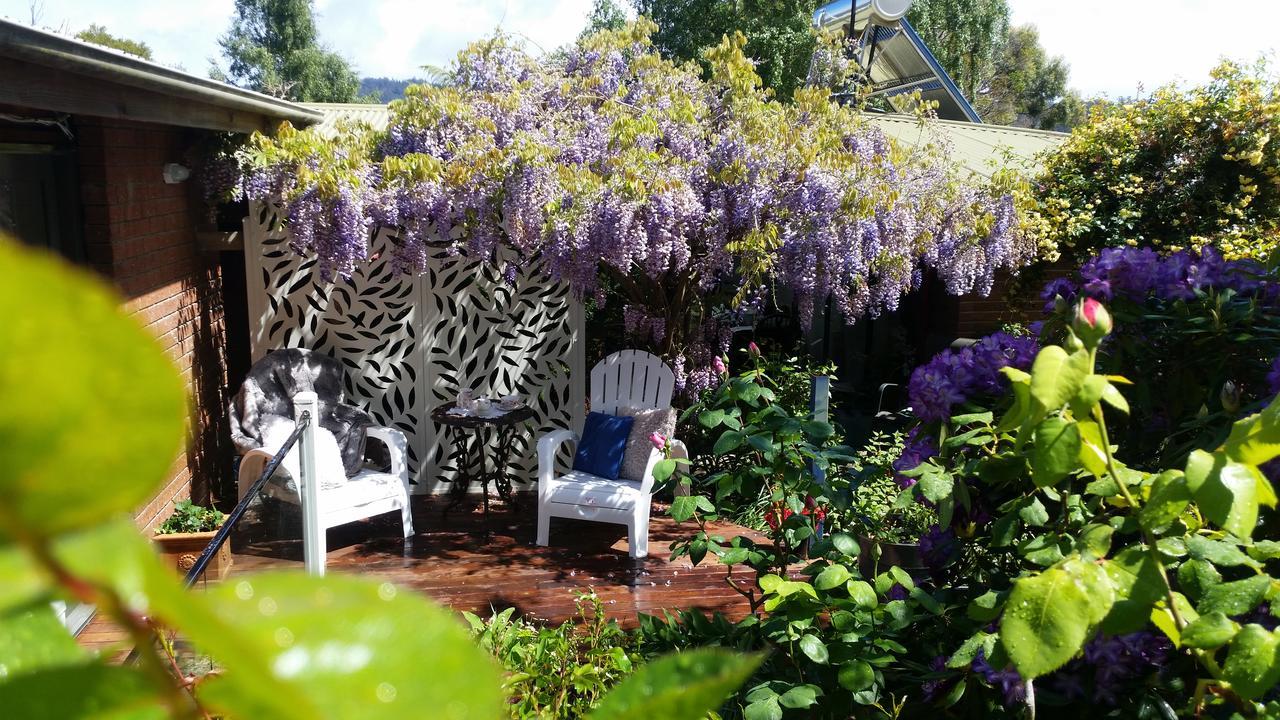 Birch Lane Bed & Breakfast Cradoc ภายนอก รูปภาพ