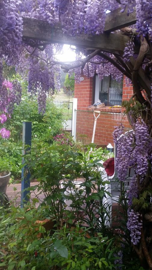 Birch Lane Bed & Breakfast Cradoc ภายนอก รูปภาพ